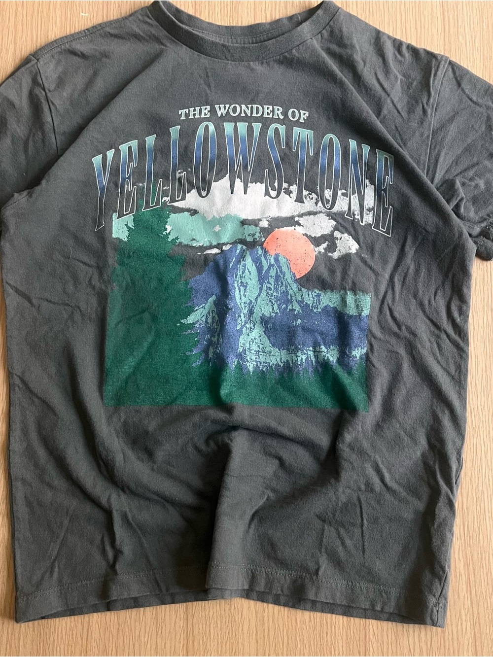 Yellowstone Graphic Tee 🏔️ National Park Vintage Green/Gray Style Sz M